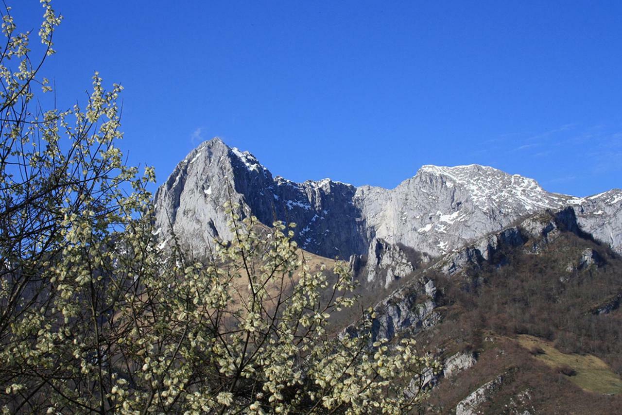 Hotel Rural Llerau Ponga Εξωτερικό φωτογραφία