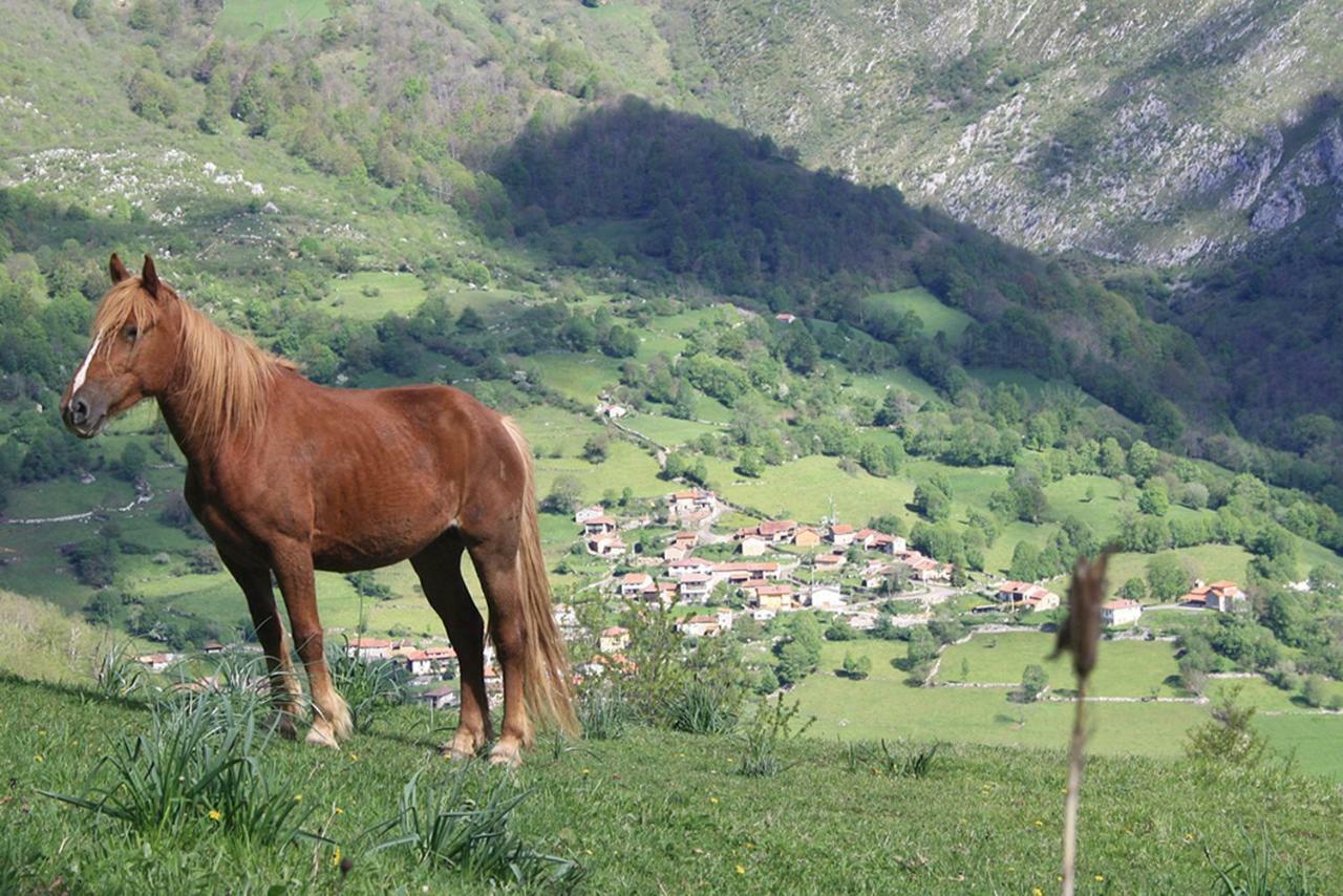 Hotel Rural Llerau Ponga Εξωτερικό φωτογραφία